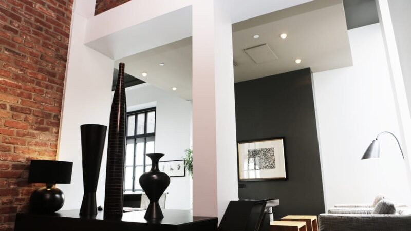 How to Teach Your Dog to Fetch Like a Pro